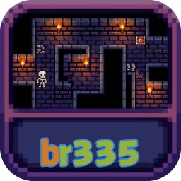 br335